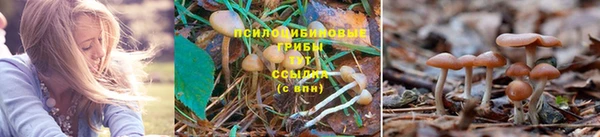 таблы Зерноград