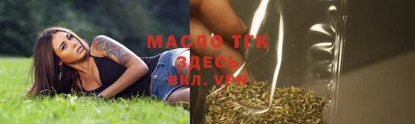 молекула духа Заводоуковск