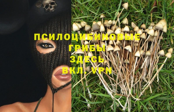молекула духа Заводоуковск