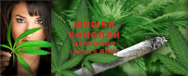 крисы Заволжск