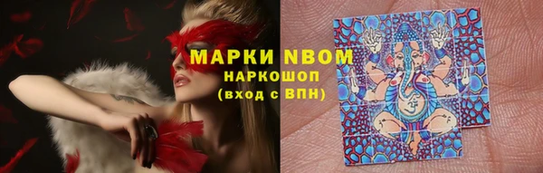 молекула духа Заводоуковск