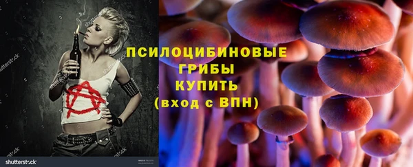 молекула духа Заволжье