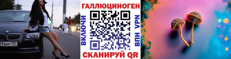 Купить  Дудинка  Псилоцибиновые грибы Psilocybe 