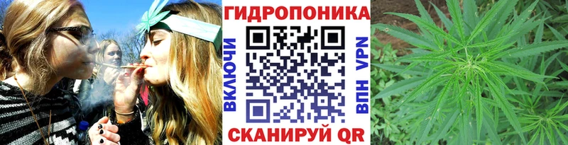 Конопля план  Купить  Дудинка 